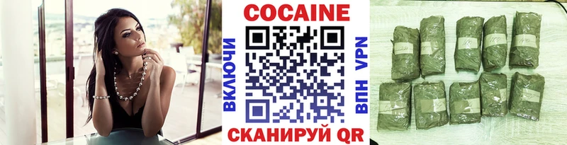 Купить закладки  Питкяранта  КОКАИН Fish Scale 