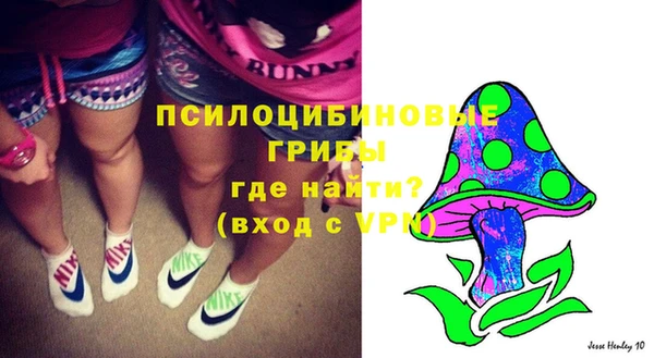spice Алзамай