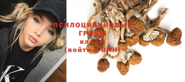 spice Алзамай